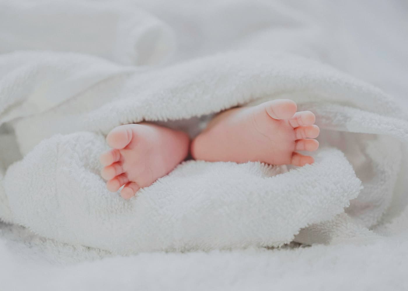 Baby's feet wrapped in a soft white blanket