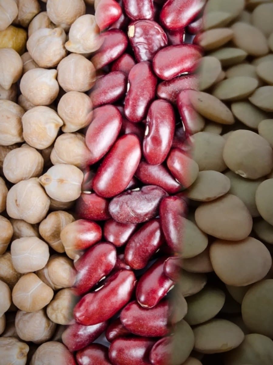 Chickpeas, red kidney beans and green lentils